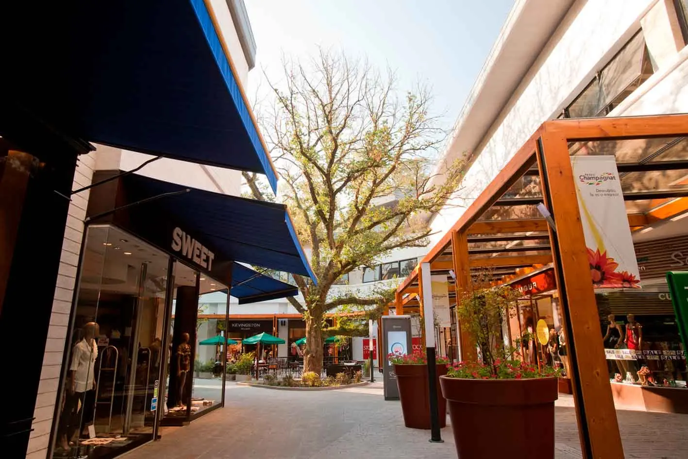 Paseo abierto de Paseo Champagnat con toldos azules y una pérgola de madera